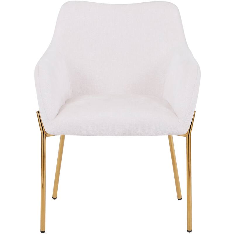 Zaire Upholstered Dining Chair in Velvet/Leather/Boucle with Gold Chrome Iron Set of 2