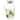 68 Oz / 2 Liter Glass Pitcher with Lid and Spout - Carafe for Water, Juice and Other Drinks (Clear)