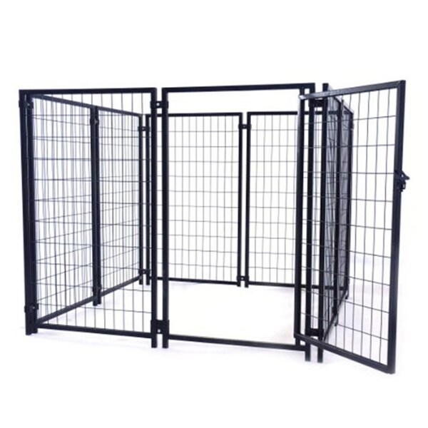 Aleko kennel new arrivals