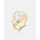 Option Gold