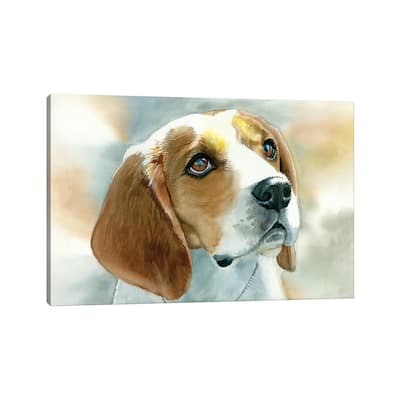 iCanvas "Dog Tired - Beagle" by Judith Stein Canvas Print