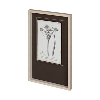 Conversations on Botany II Framed Art Print