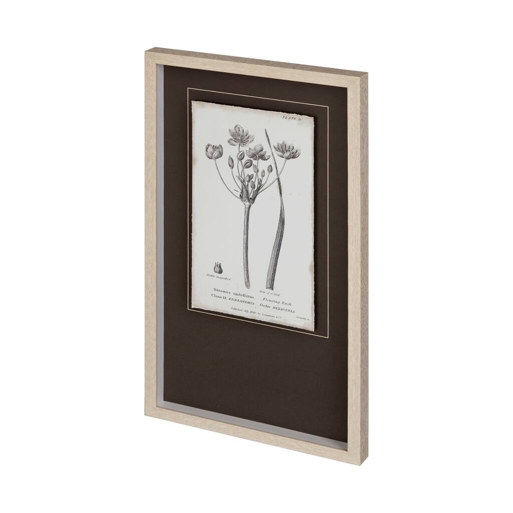 Conversations on Botany II Framed Art Print