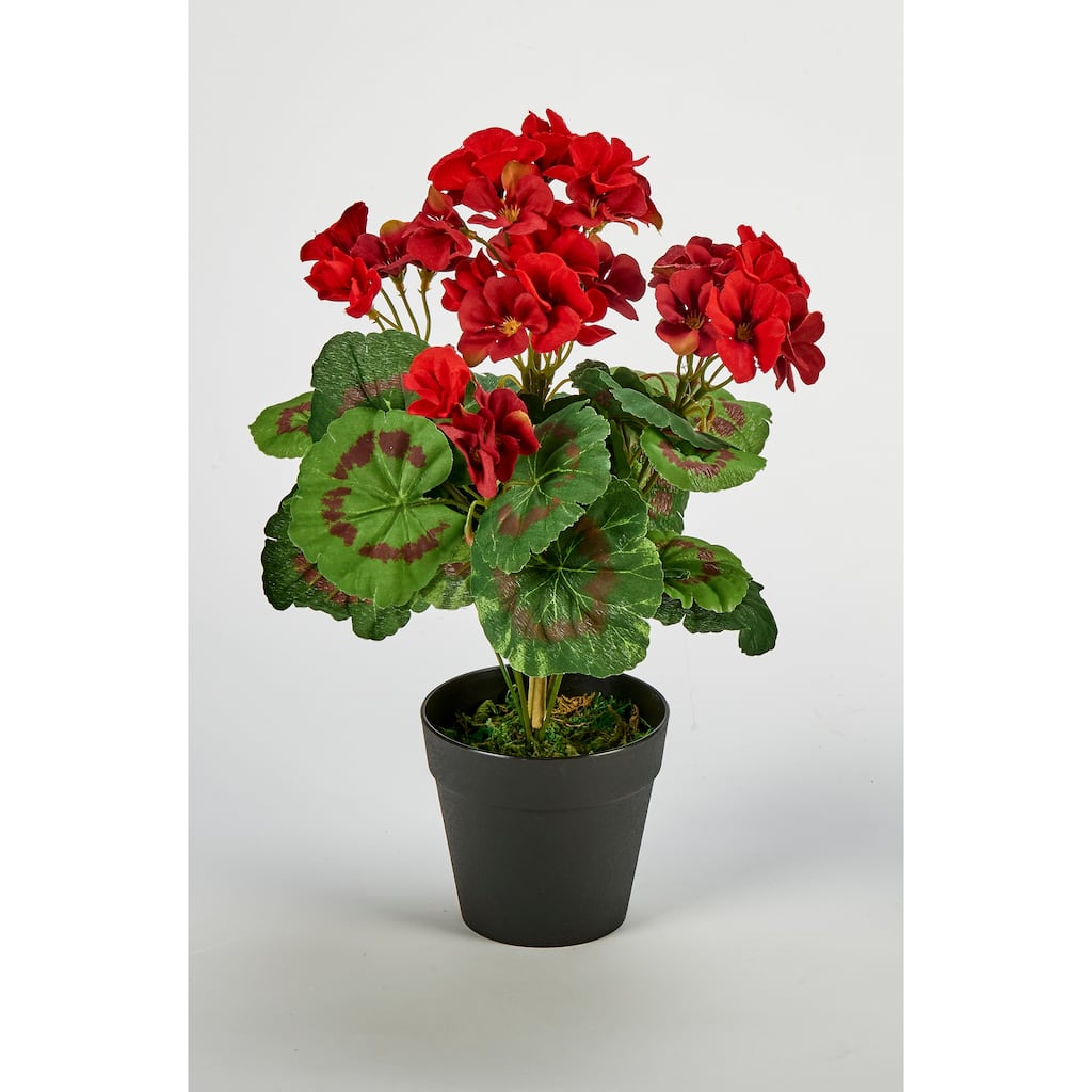 14" 7 Head Faux Geranium in 4" Pot with Moss, Red - 14