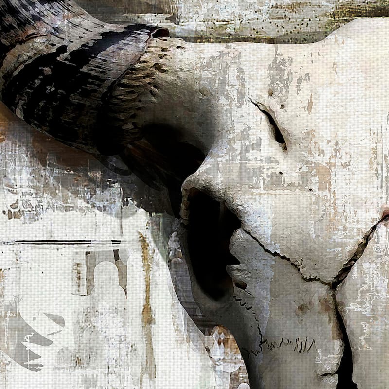 White Cowskull by GraphINC Canvas Art Print