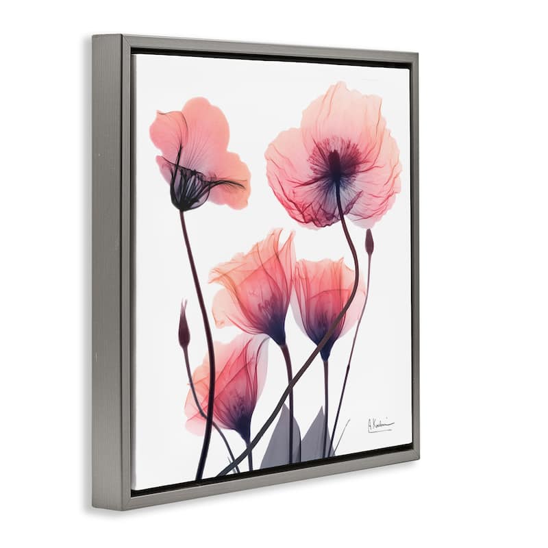Stupell Elegant Modern Poppy Buds Framed Floater Canvas Wall Art Design By Albert Koetsier