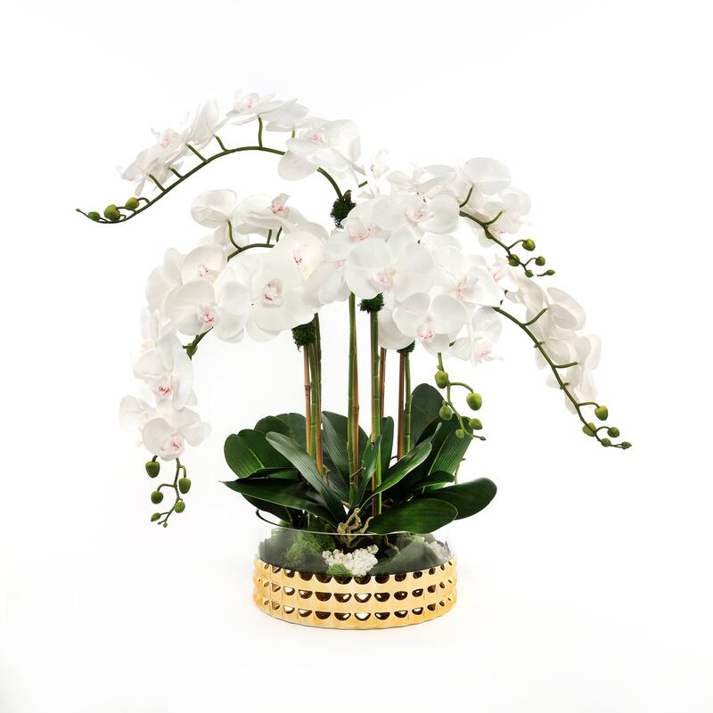 Real Touch Cream Orchid Arrangement in a Glass Gold Bowl - 22"W x 22"D x 20"H