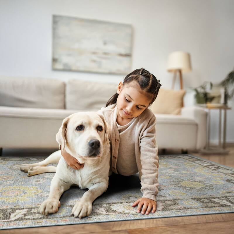 Smart Wash Ambient Glam Oriental Indoor Polyester Area Rug