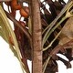 preview thumbnail 6 of 4, National Tree Company Artificial Autumn Bouquet with Gourds, Berry Clusters, Pine Cones, Assorted Leaves, Set of 2, 28 Inches