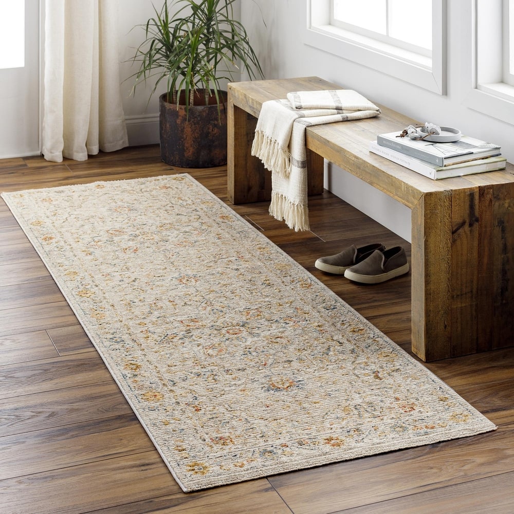 Tereza Updated Traditional Medallion Area Rug