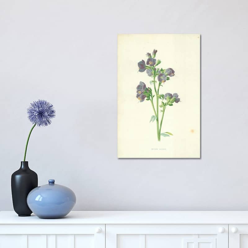 iCanvas "Jacob's Ladder (Illustration From Familiar Garden Flowers, 4th Series)" by Frederick Edward Hulme Canvas Print - 18x12x1.5