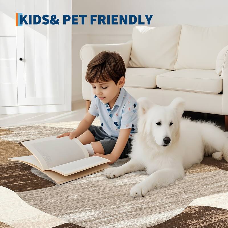 Area Rug Modern Abstract Rugs for Living Room Geometric Non-Slip Backing Low Pile Floor Carpet