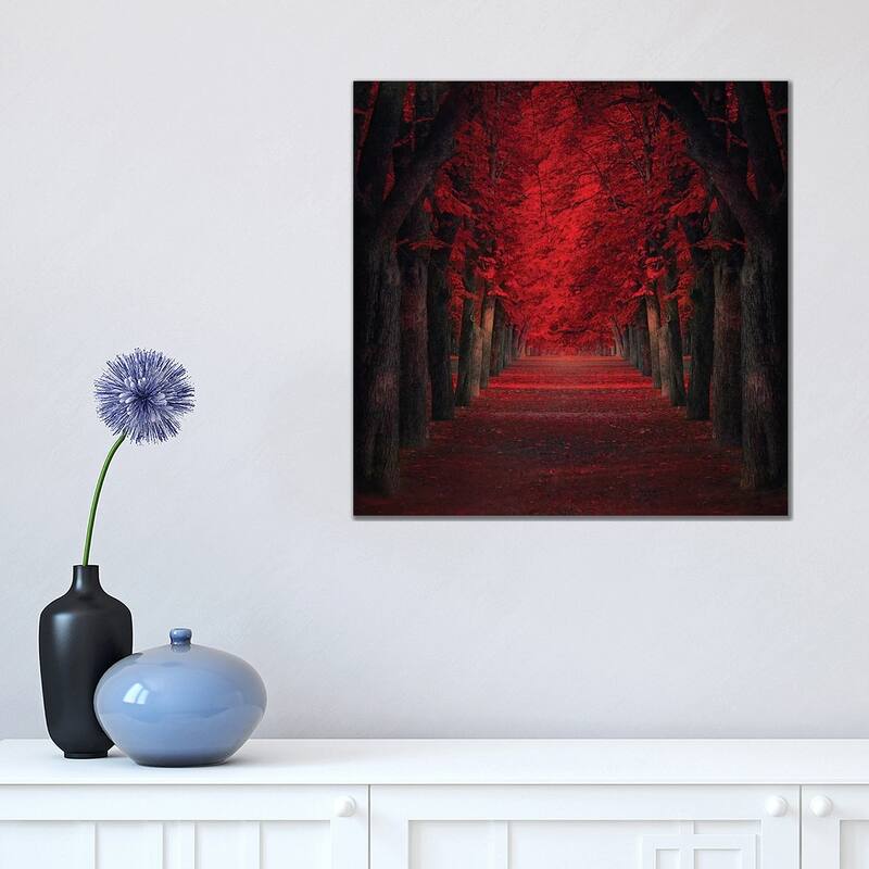 iCanvas "Endless Passion" by Ildiko Neer Canvas Print