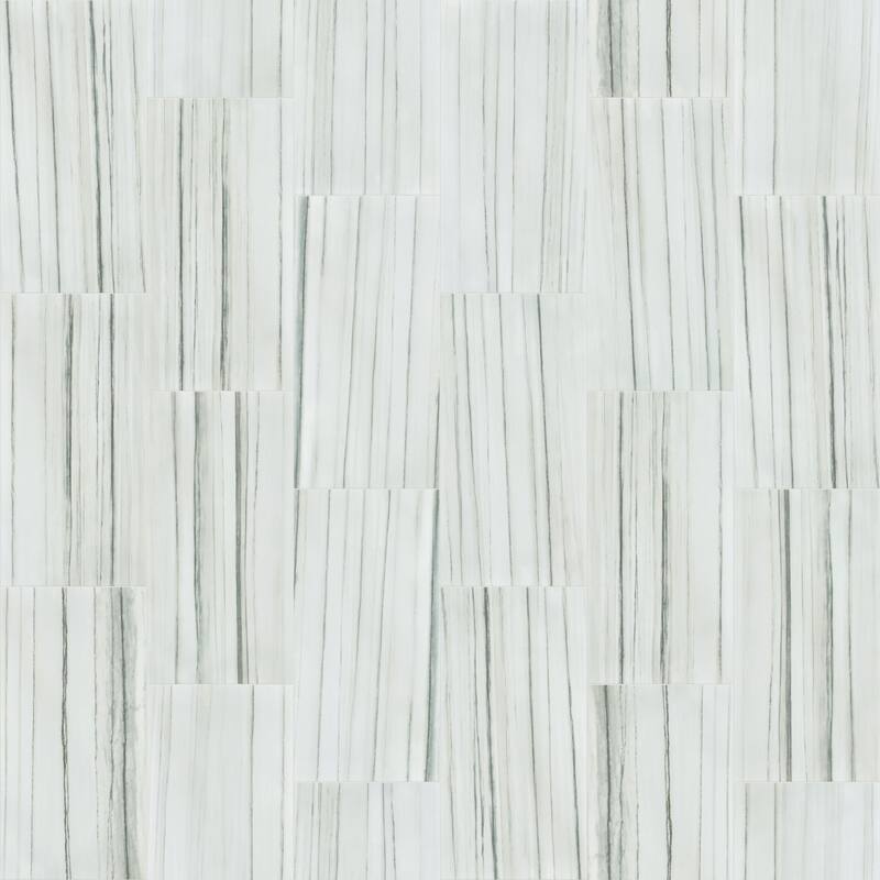 Shaw Casino - 16" x 32" Rectangle Floor Tile - Polished Marble Visual - Zebrino