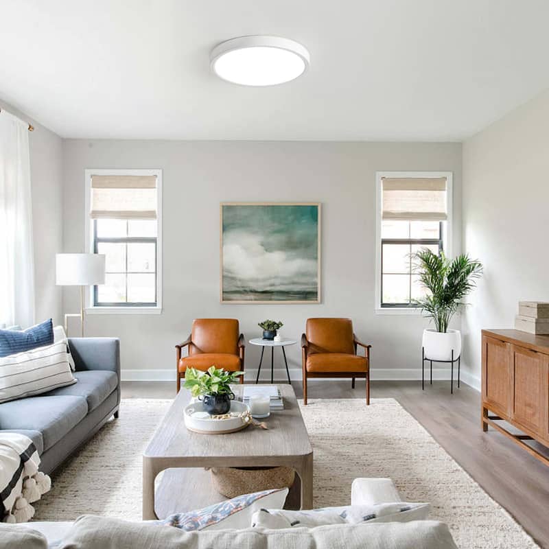 24 Watts Round Tricolor Selectable LED Flush Mount Ceiling Light for Dining Room Living Room Bedroom Kitchen - 9.06"Dx0.91H"