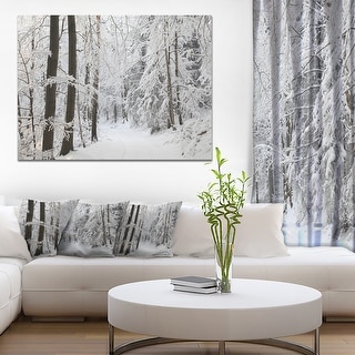 Designart "Dense Winter Forest and Lane" Large Forest Artwork Print on Canvas - White