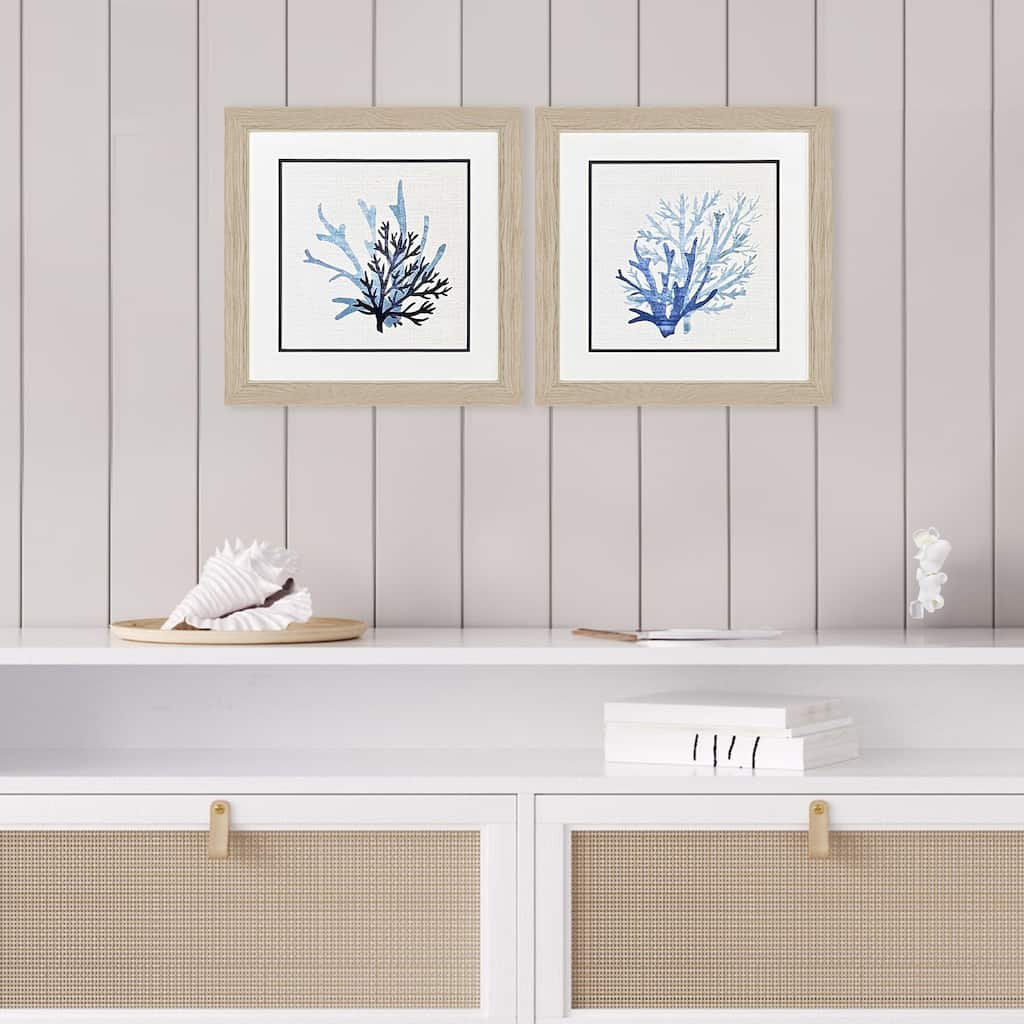 Paragon Coral Shades Framed Art - Set of 2