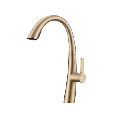 Single Handle Stainless Steel Pull Out Kitchen Faucet