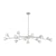 Option Polished Nickel / Clear
