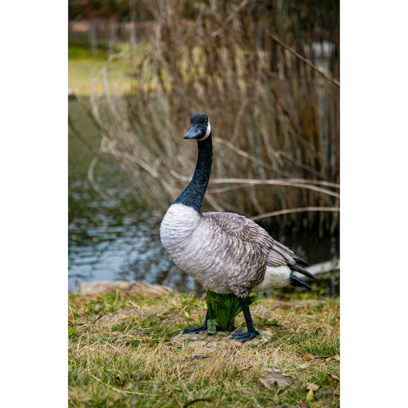 Standing Canada Goose Statue