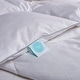 preview thumbnail 4 of 4, Martha Stewart White Goose Feather And White Goose Down Comforter