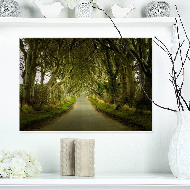 Designart "Dark Hedges Road through Old Trees" Landscape Wall Artwork Print on Canvas - 20 in. wide x 12 in. high - 1 Panel