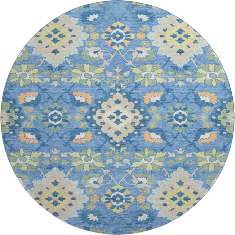 Premium Washable Super Soft Traditional Grace Mayfield Rug