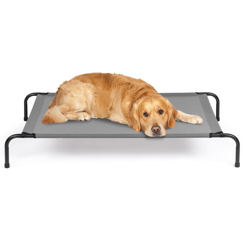 50 in. x 31 in. Iron Frame Gray Mesh Surface Outdoor Dog Cot - 50 in. x 31 in. x 8 in.