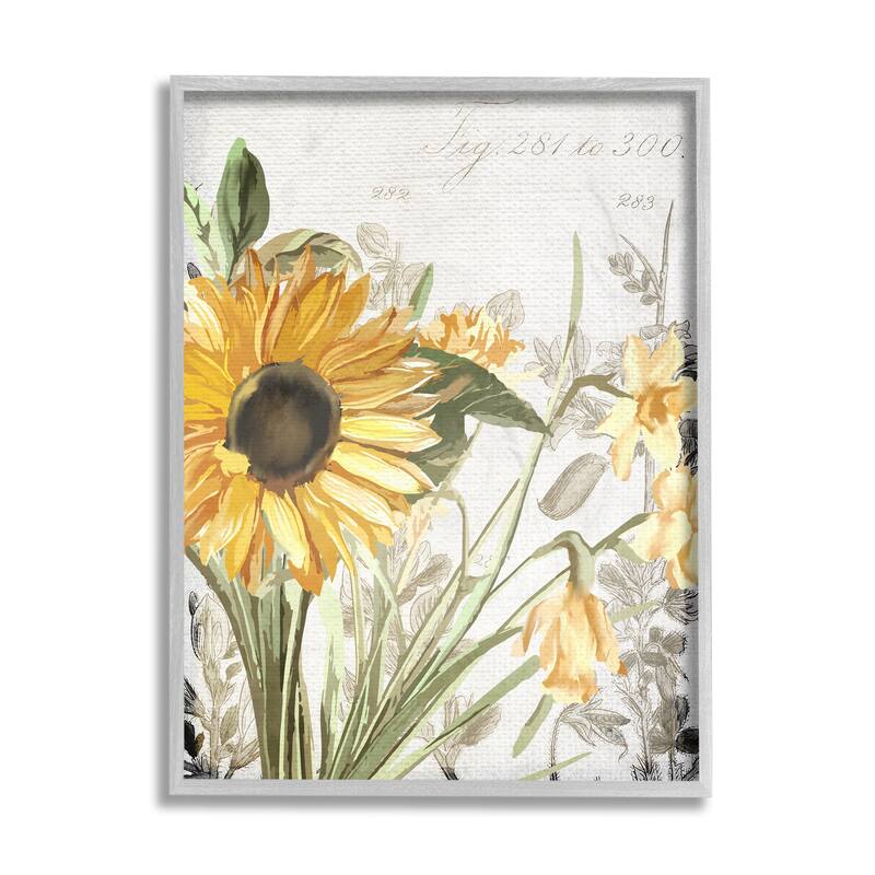 Stupell Soft Sunflower Floral over Vintage Plant Illustration Framed Giclee Texturized Art by Kim Allen - 11 x 14 - Grey