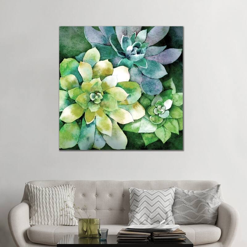 iCanvas "Summer Succulents" by Conrad Knutsen Canvas Print