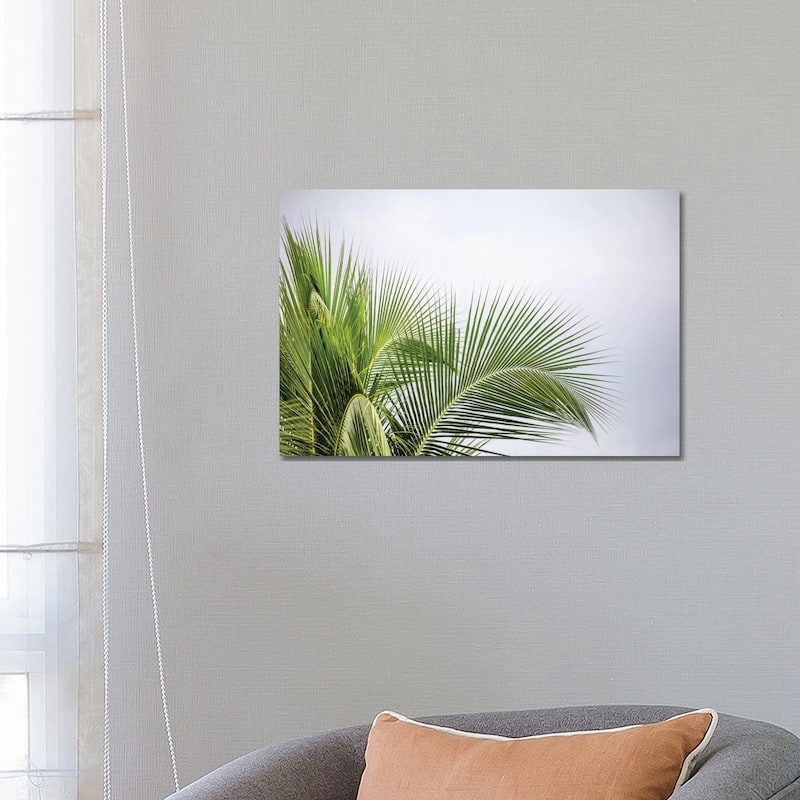 iCanvas "Palm Tree" by Mark Paulda Canvas Print - 18x26x1.5