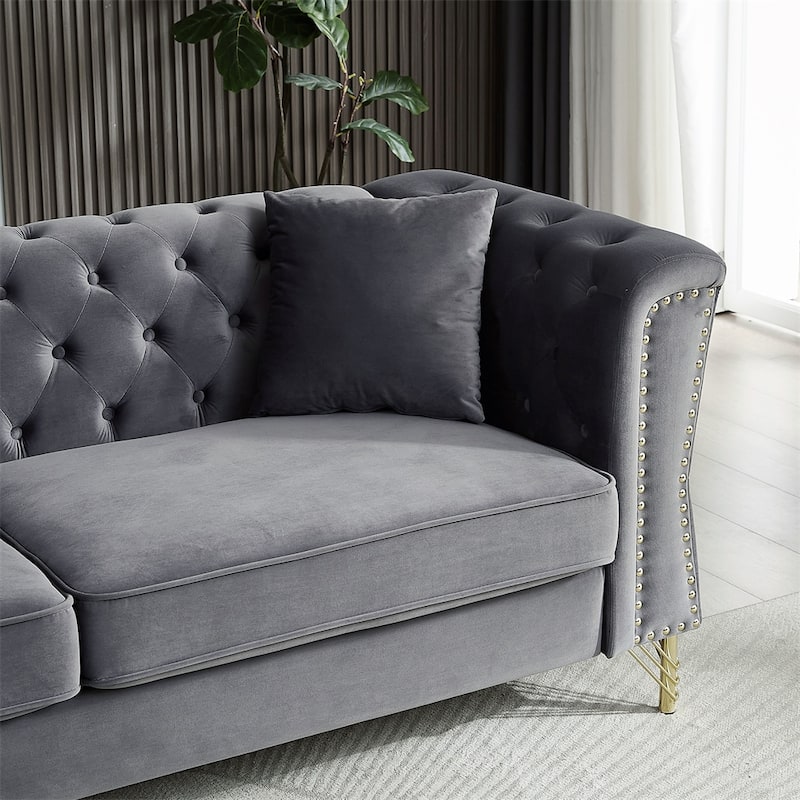 2 Seater Sofa Tufted Couch with Metal Foot and Nailhead