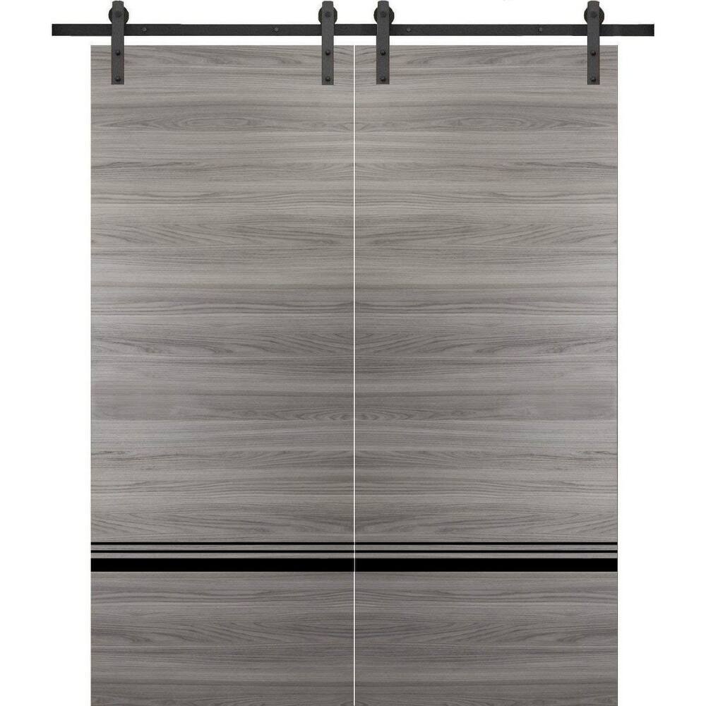 Sturdy Double Barn Door 36 x 80 with Planum 0012 Grey Matte with 13FT