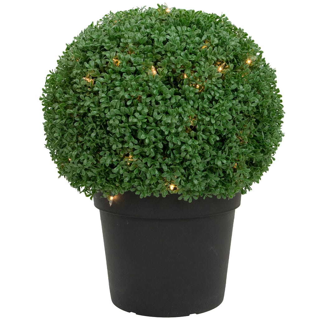 20" Pre-Lit Artificial Boxwood Ball Topiary in Round Pot Clear Lights - 16