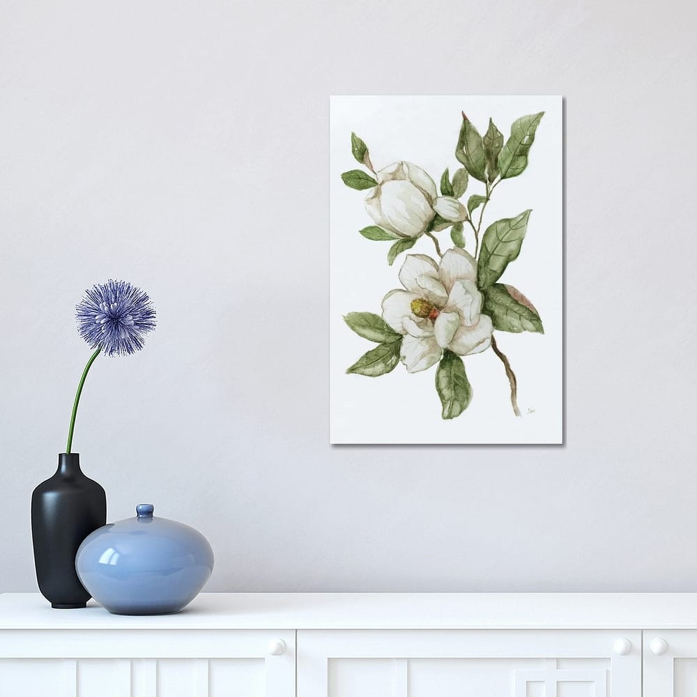 iCanvas "Magnolia Morning II" by Nan Canvas Print