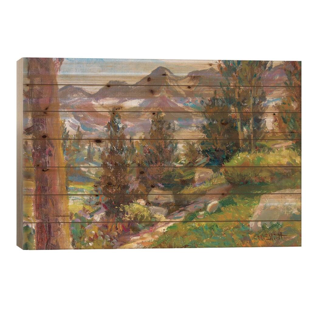 Trail Print On Wood by Catherine M. Elliott - Multi-Color