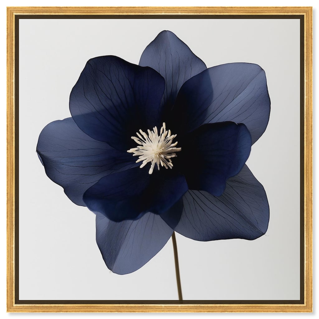 Night Dal II Canvas by Art Remedy