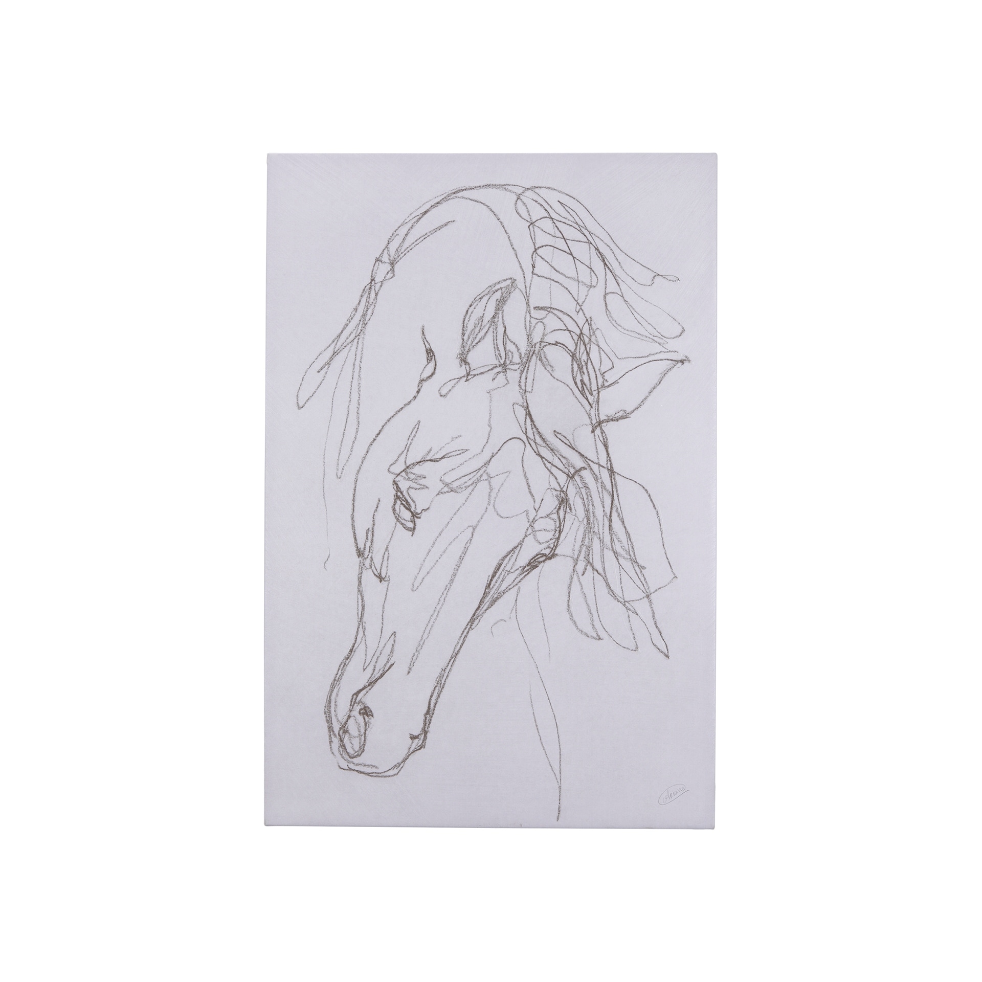 Andalusian I (28 x 42 ) Canvas Art Print