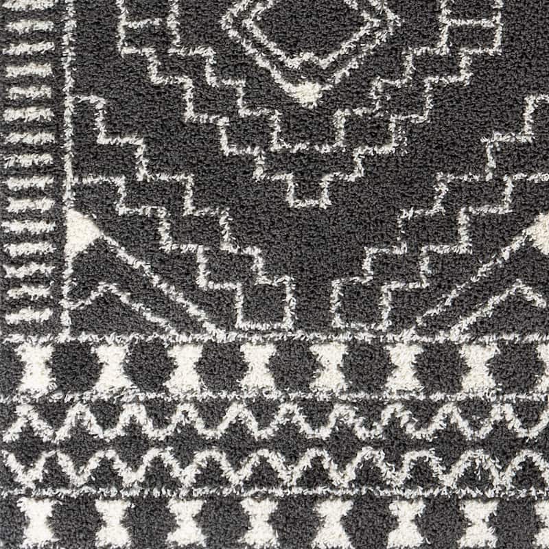 Hidalgo Moroccan Plush Area Rug