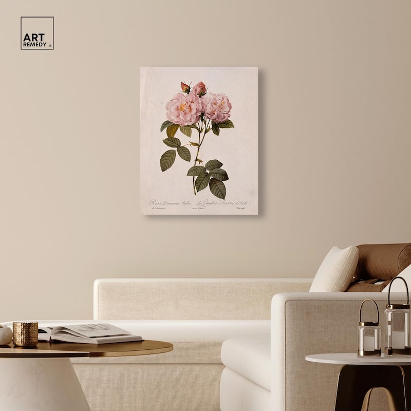 Damask Rose Canvas by Art Remedy, Gallery Wrapped