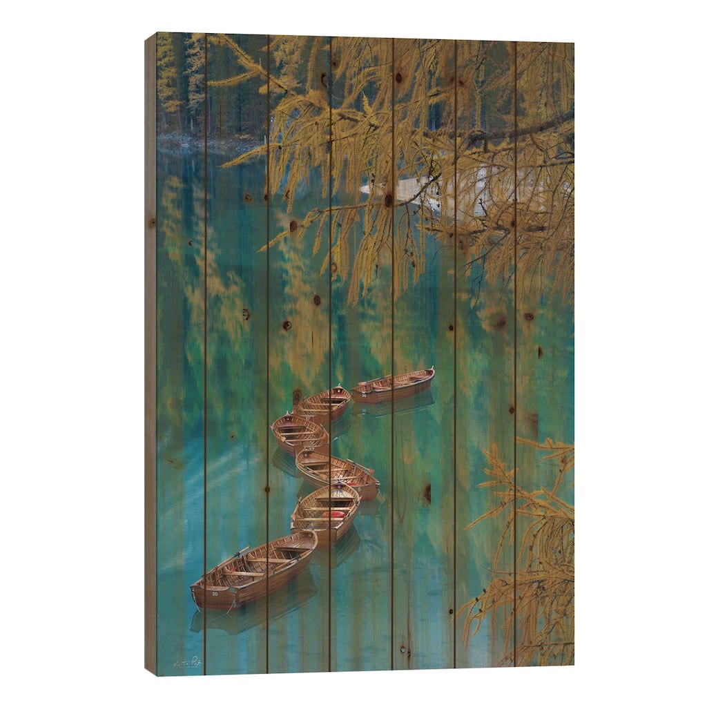 S Curve Print On Wood by Martin Podt - Multi-Color