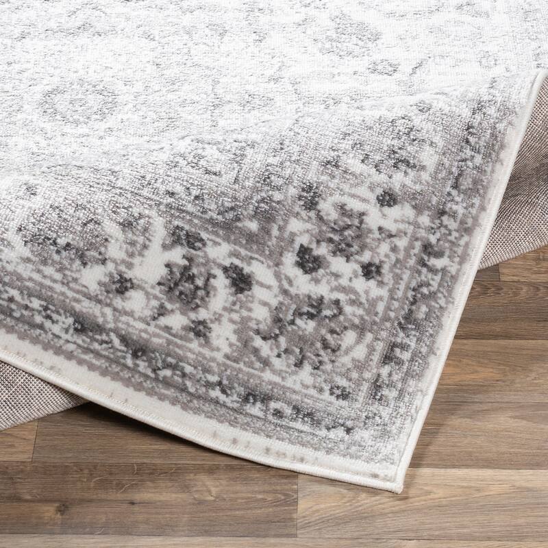 Livabliss Antonie Distressed Updated Traditional Area Rug