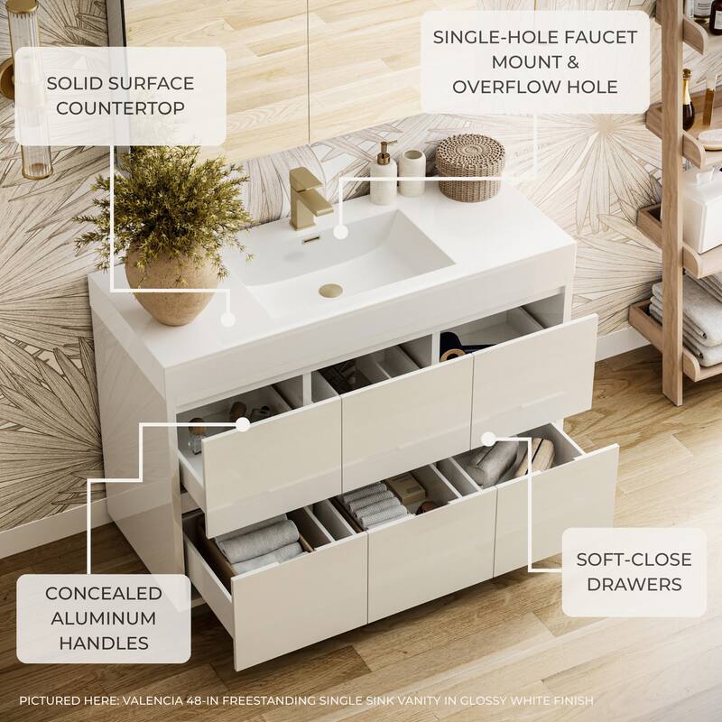 Fresca Senza 24" Single Vanity Set with Wood Cabinet and Acrylic