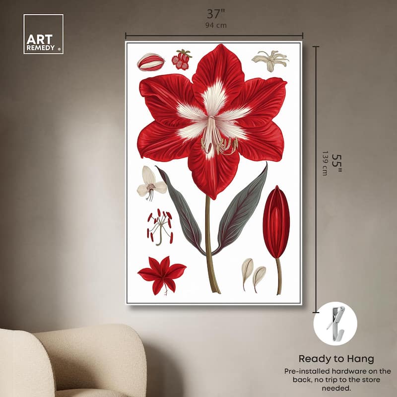 Amaryllis Anatomy Canvas by Art Remedy