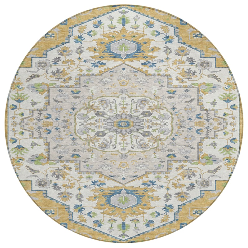Machine Washable Indoor/ Outdoor Traditional Medallion Chantille Rug