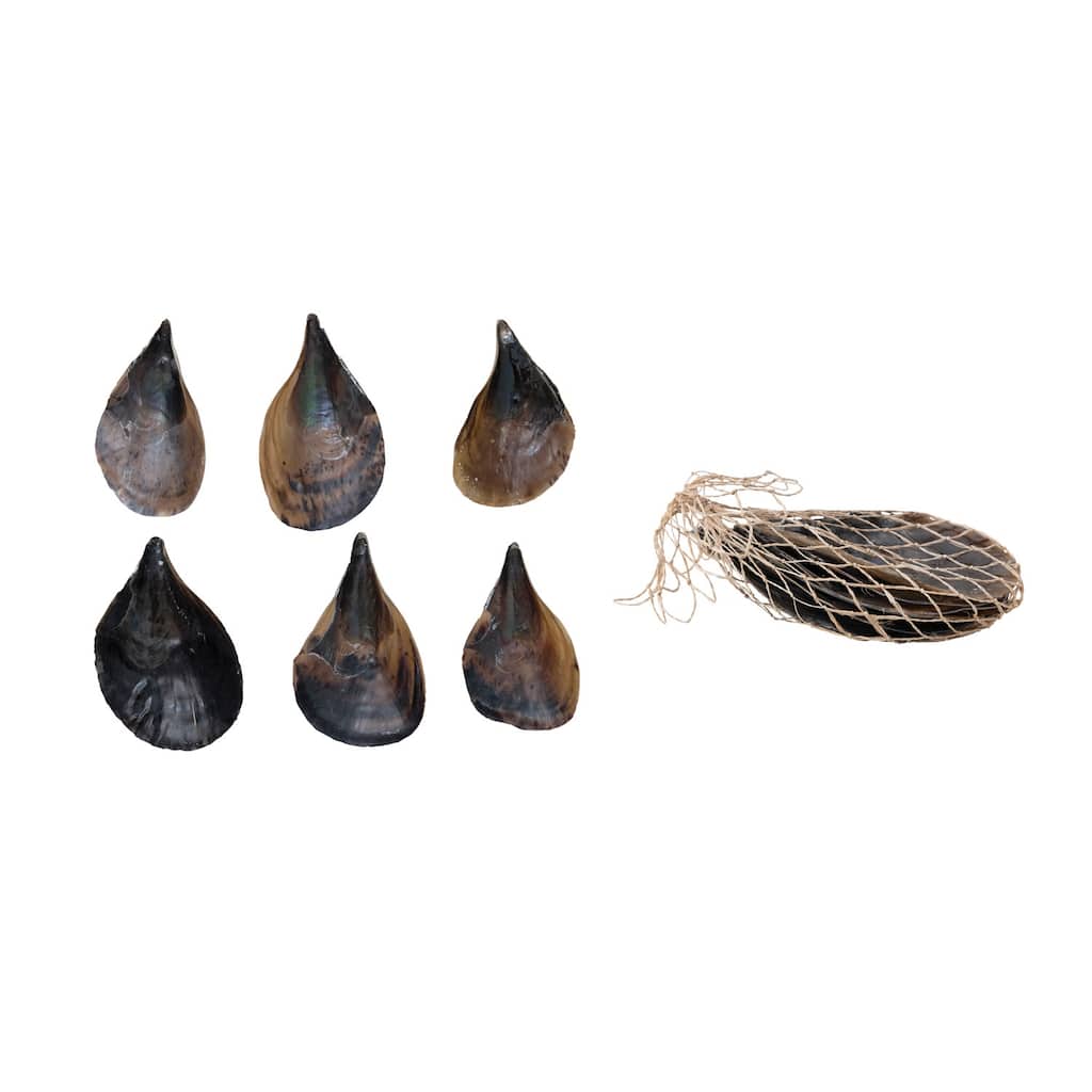 Pen Clam Shells in Bag