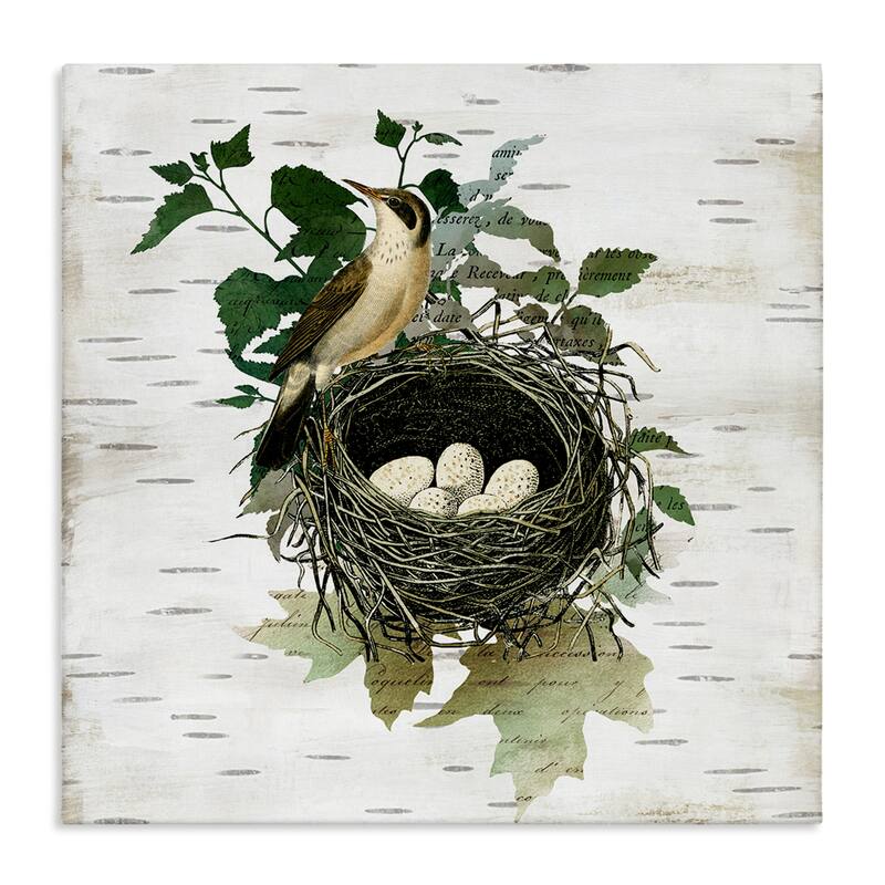Stupell Vintage Bird Nest & Flora Canvas Wall Art Design By Susan Arnot - 30 x 30