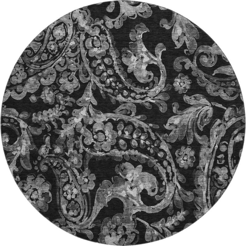 Premium Washable Super Soft Modern Paisley Mayfield Rug