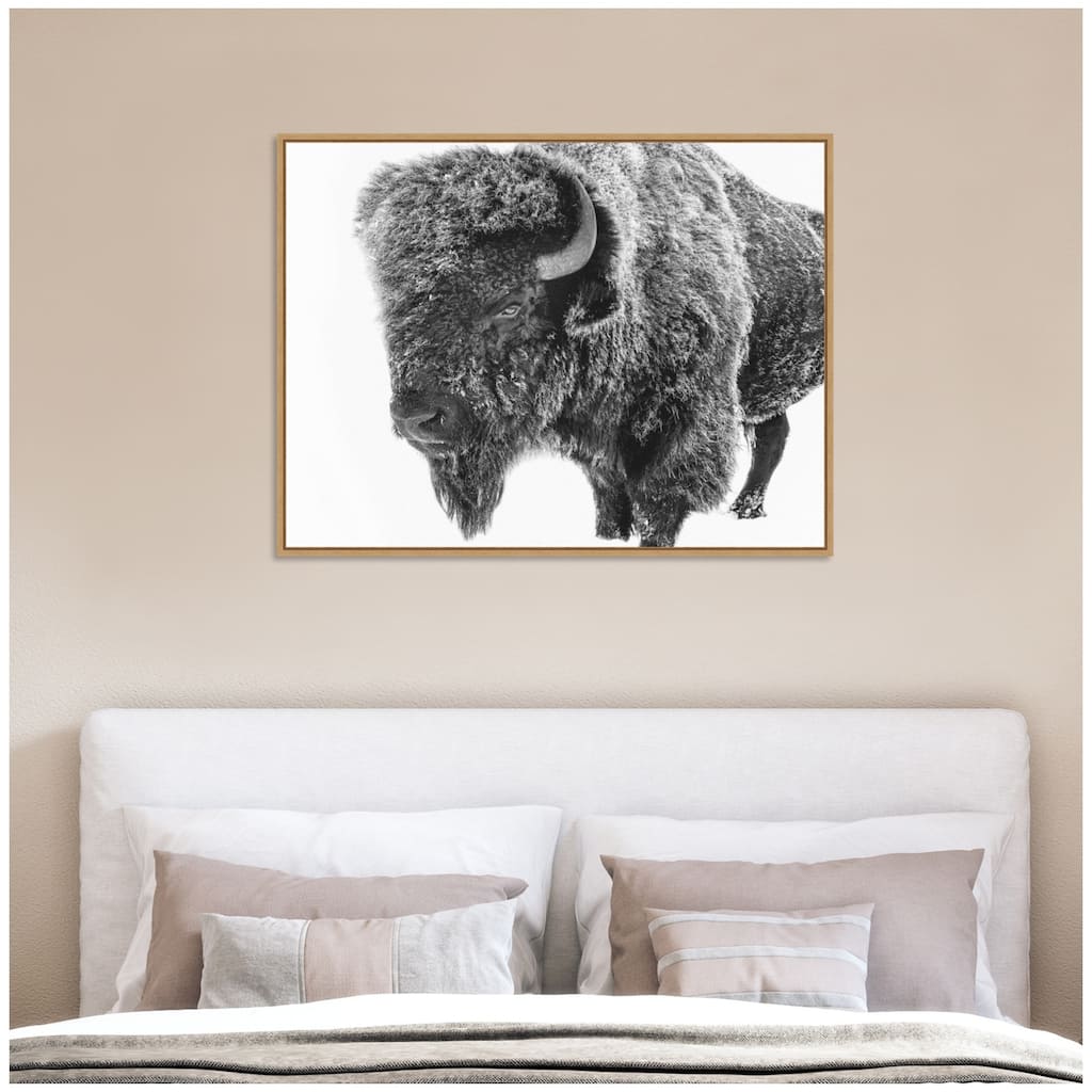 Kate and Laurel Bison in Snow Black and White by Amy Peterson Framed Canvas Wall Art Print