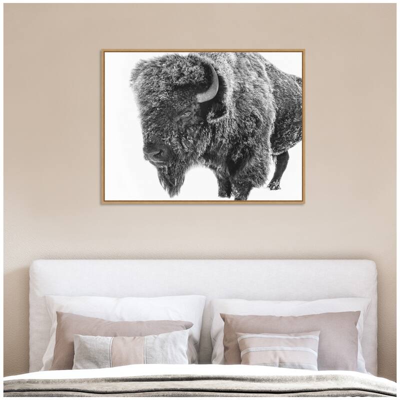 Kate and Laurel Bison in Snow Black and White by Amy Peterson Framed Canvas Wall Art Print